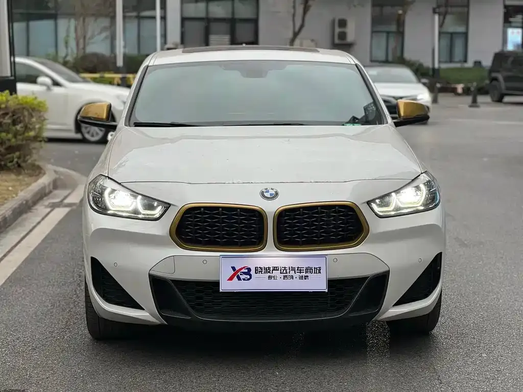BMW X2 2023 из CN, фото 8