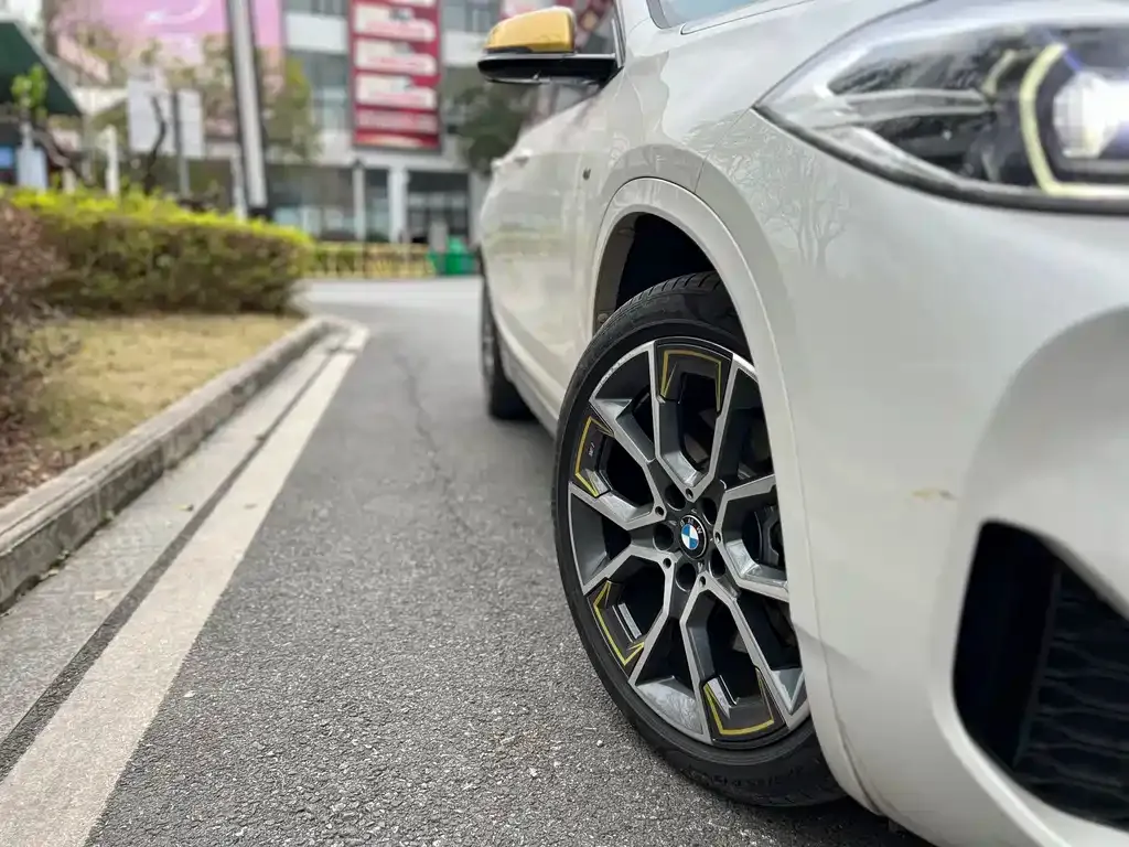 BMW X2 2023 из CN, фото 4