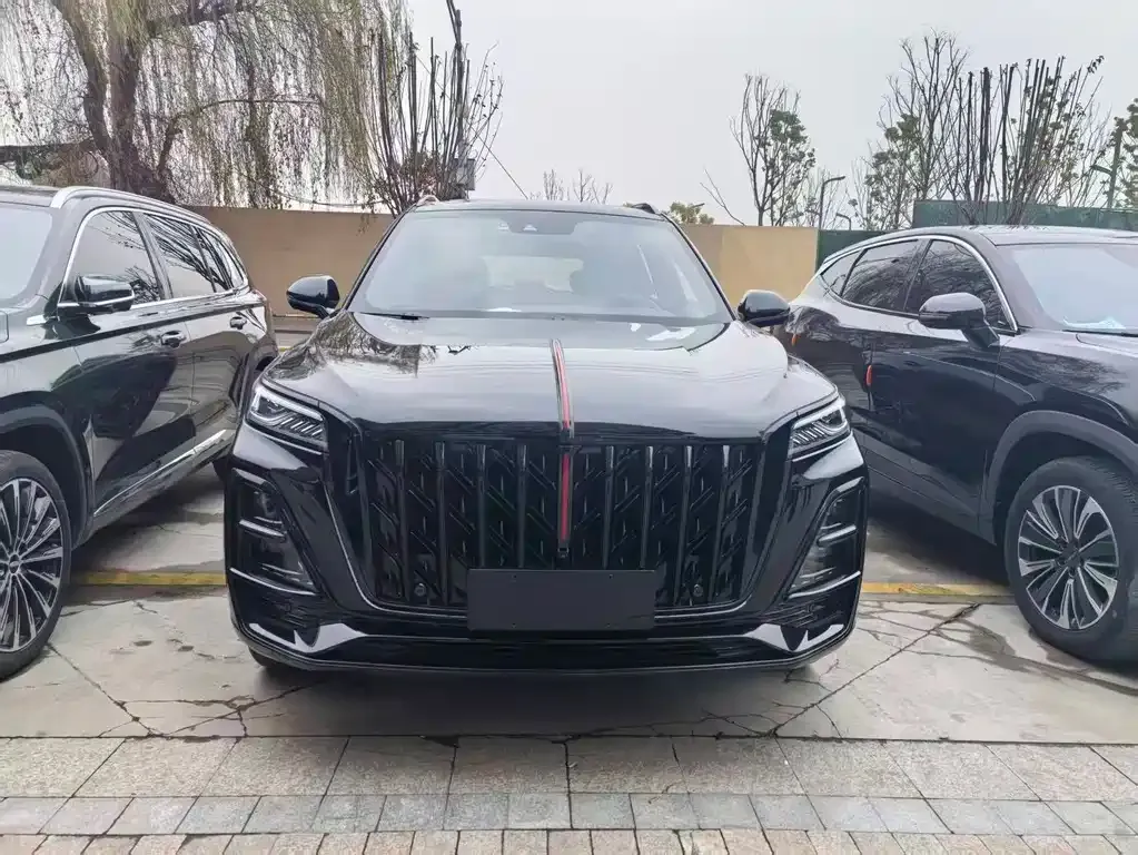Hongqi HS5 2025 из CN, фото 3