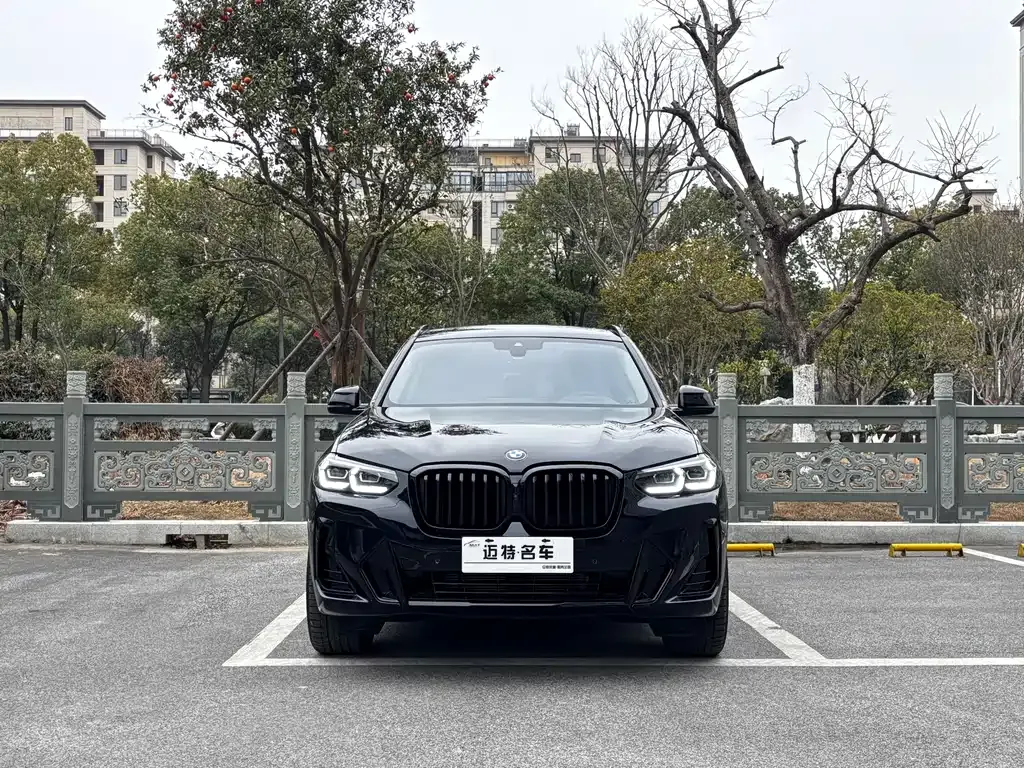 BMW X3 2023 из CN, фото 8