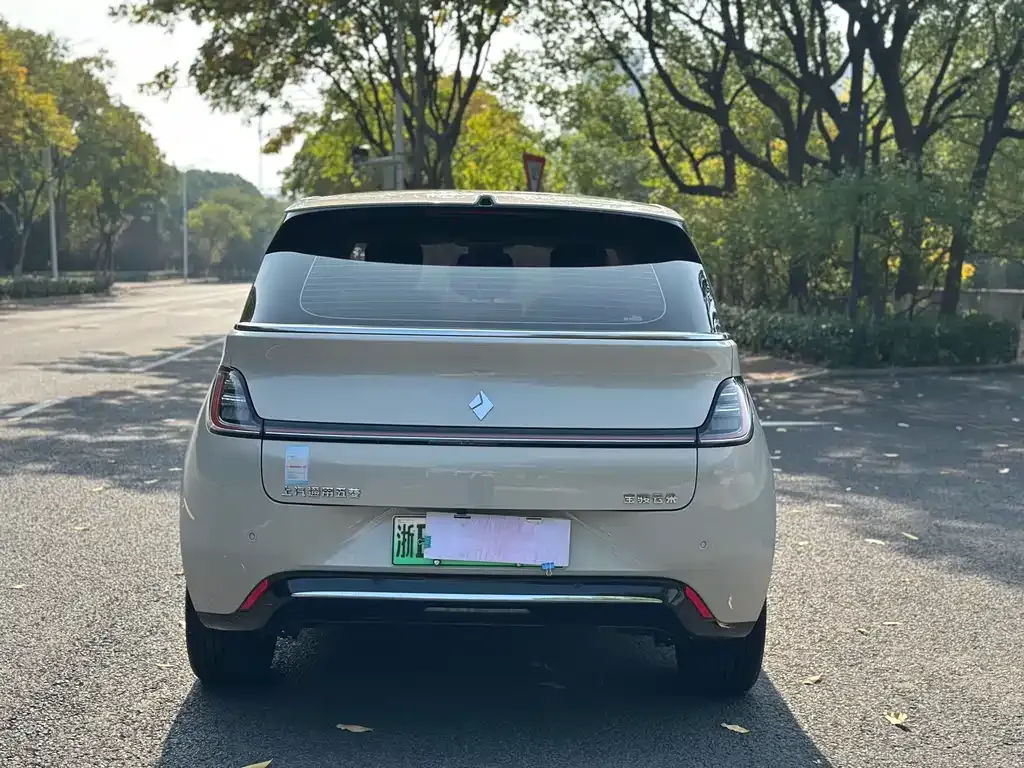 Baojun Yunduo — фото 8