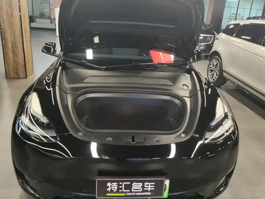 Tesla Model Y — фото 10