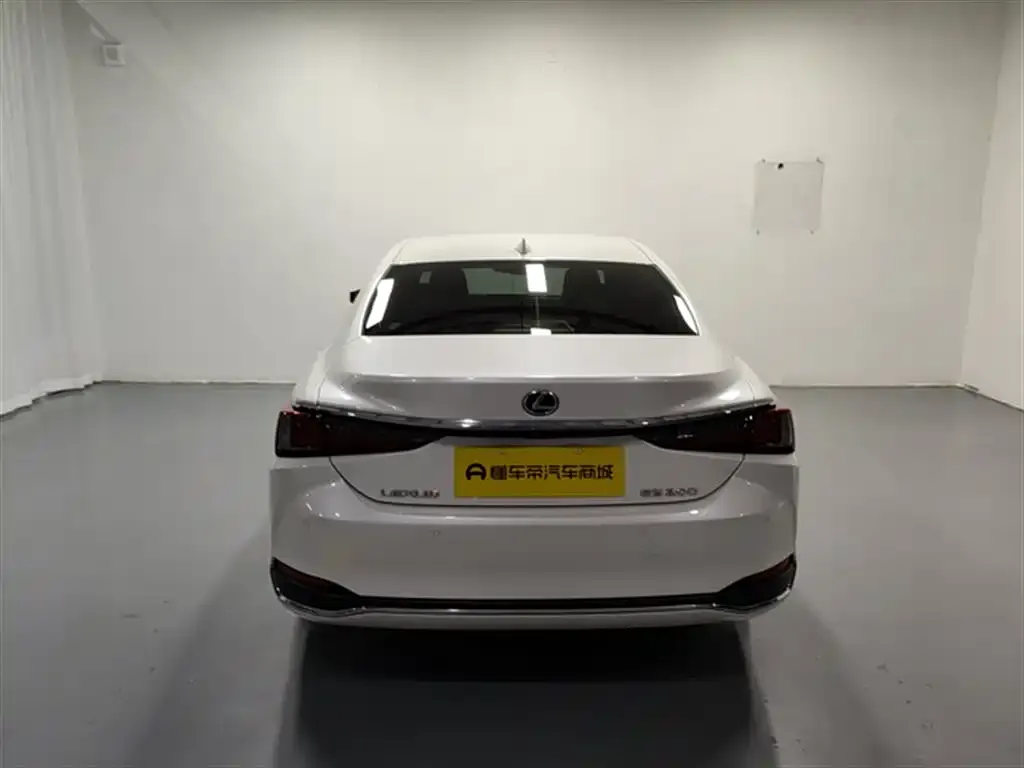 Lexus ES 2024 из CN, фото 6