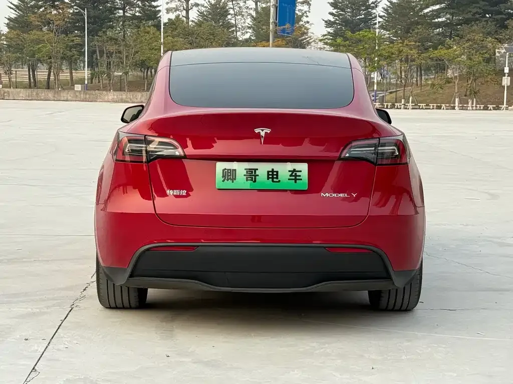 Tesla Model Y 2023 из CN, фото 8