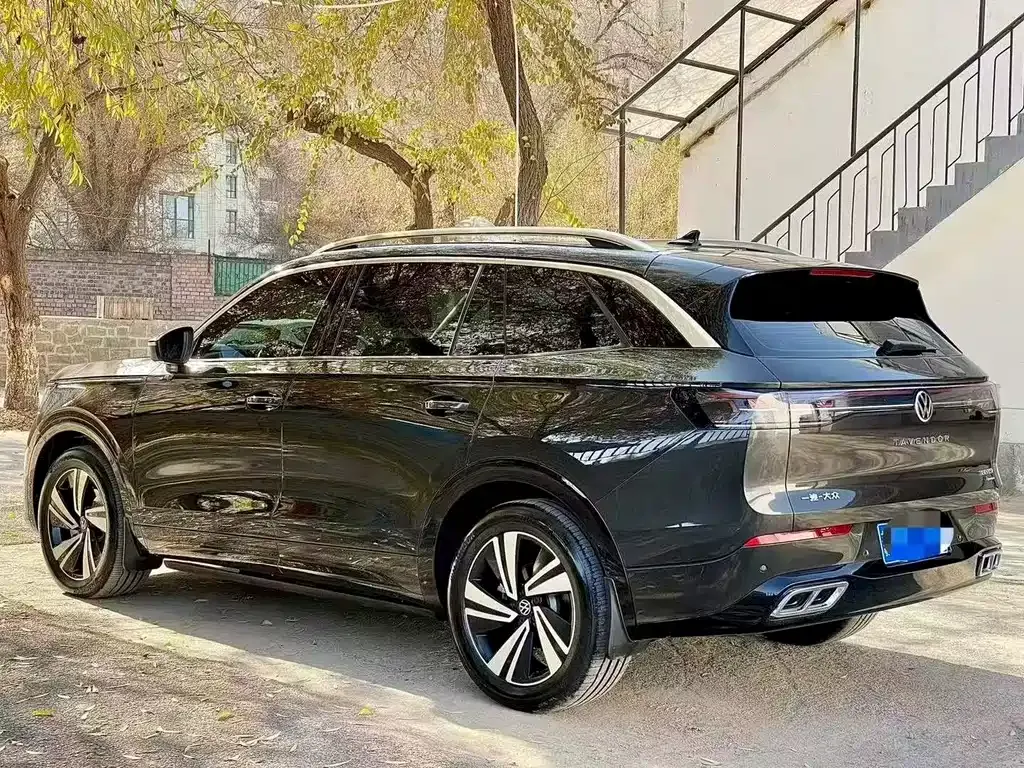 Volkswagen Tavendor 2025 из CN, фото 4