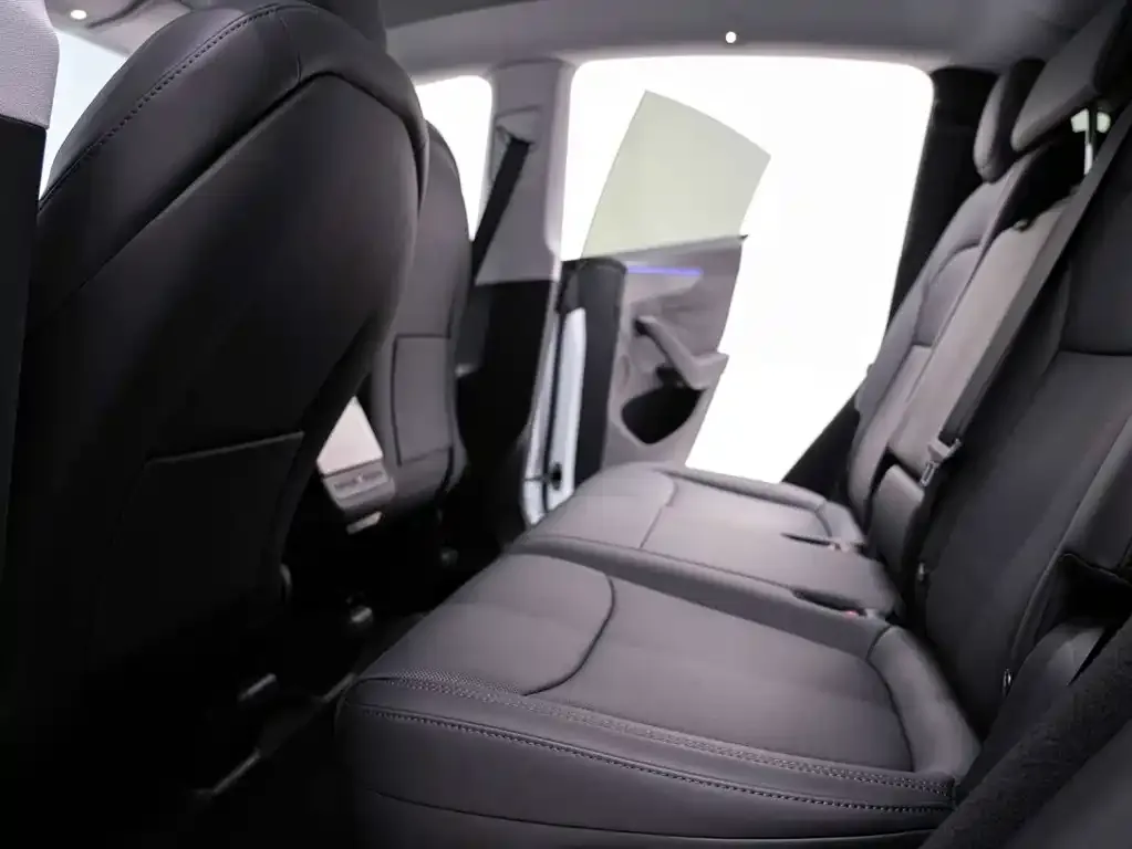 Tesla Model Y 2025 из CN, фото 9