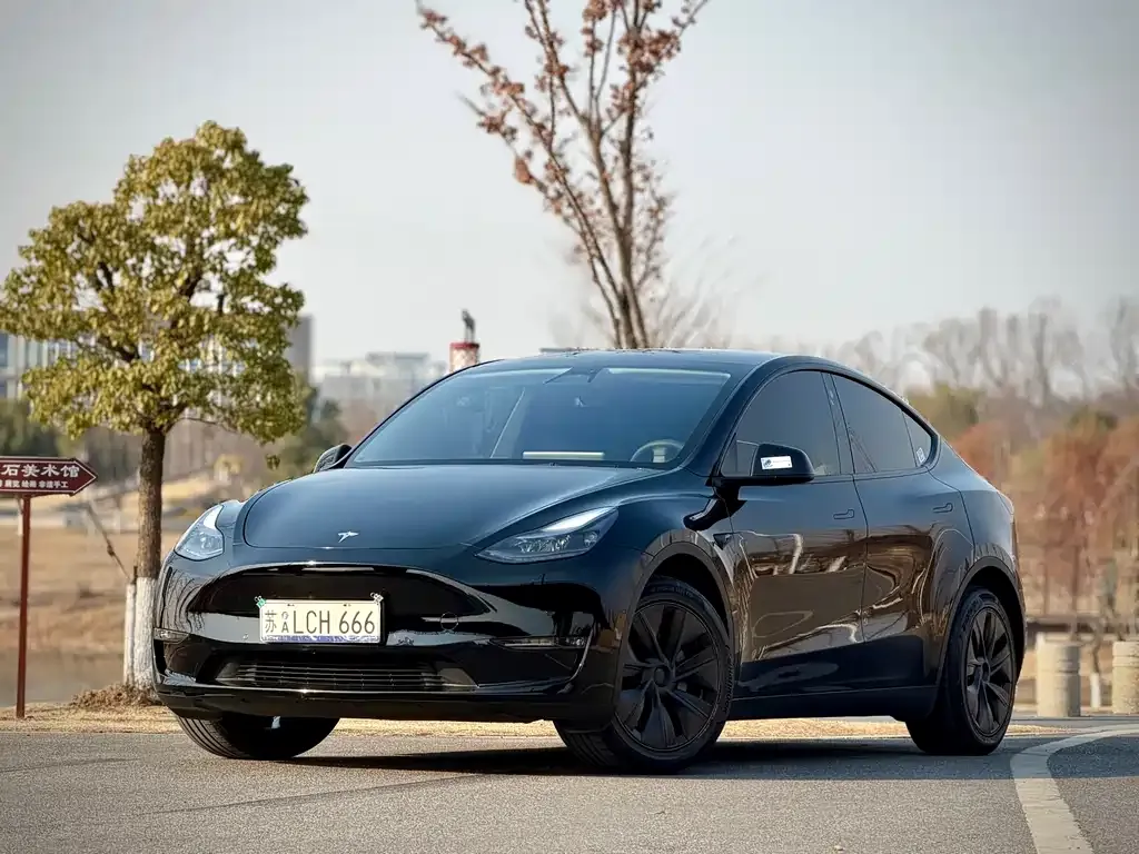 Tesla Model Y — фото 1