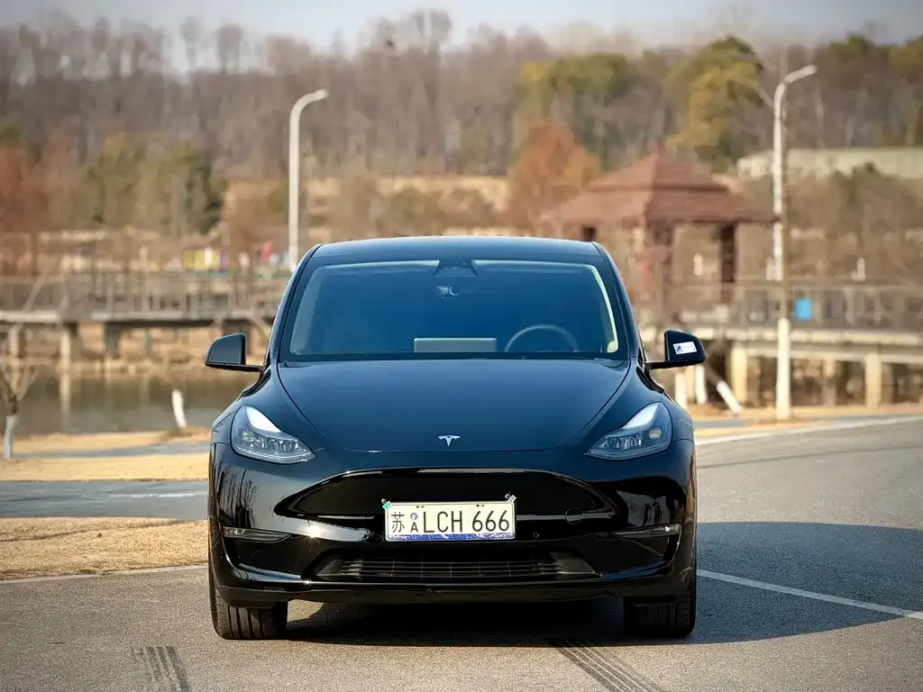 Tesla Model Y — фото 5