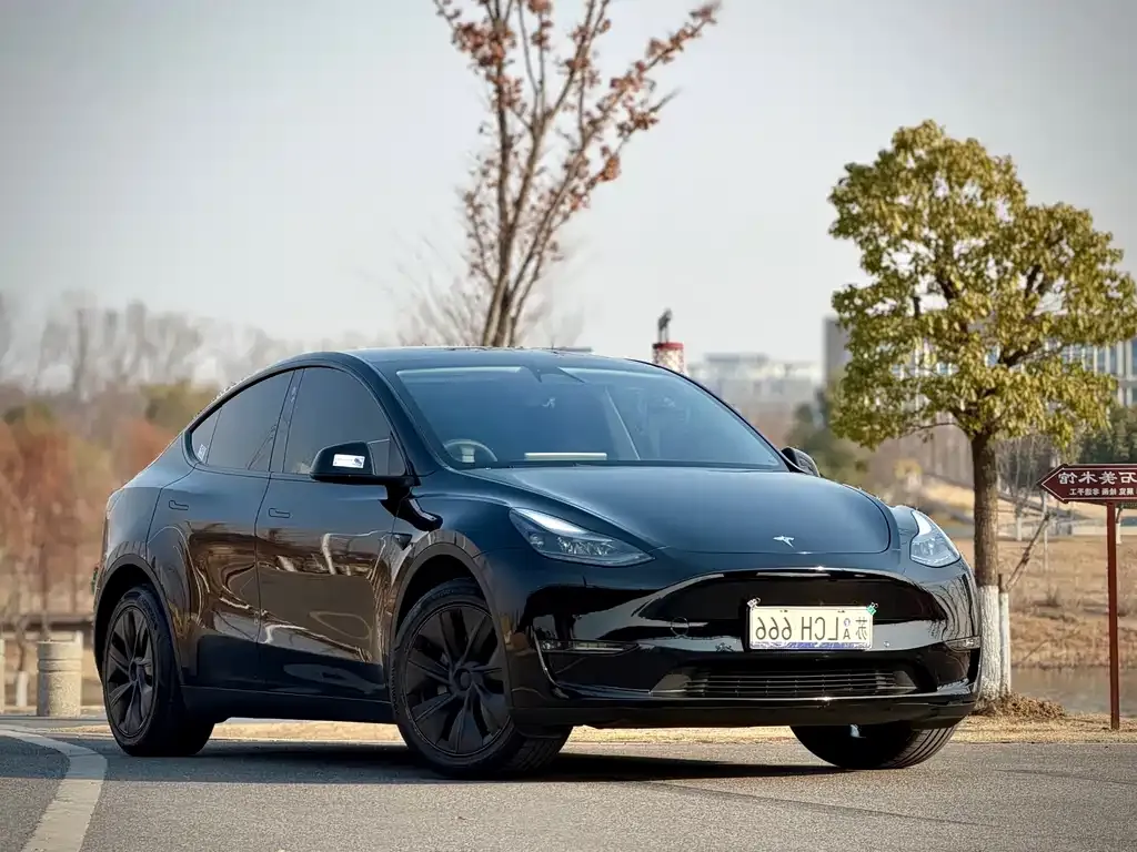 Tesla Model Y — фото 10