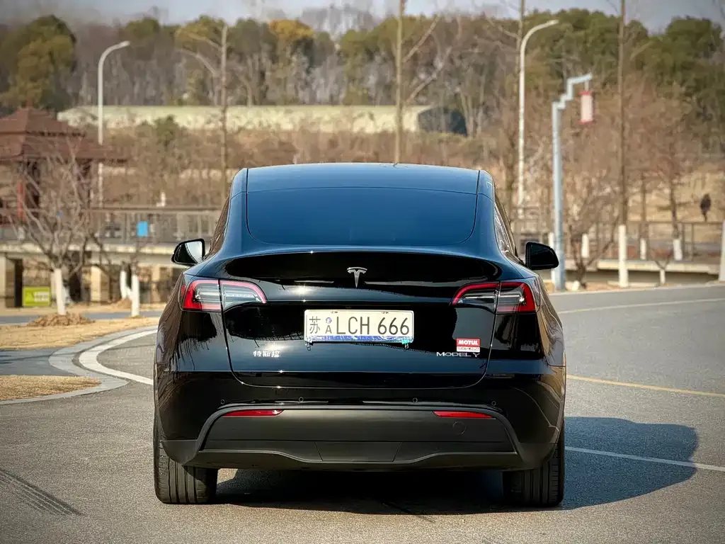 Tesla Model Y — фото 9