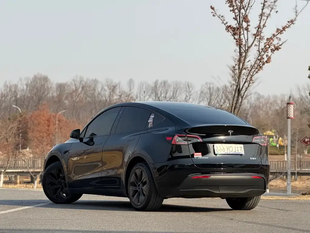 Tesla Model Y — фото 7
