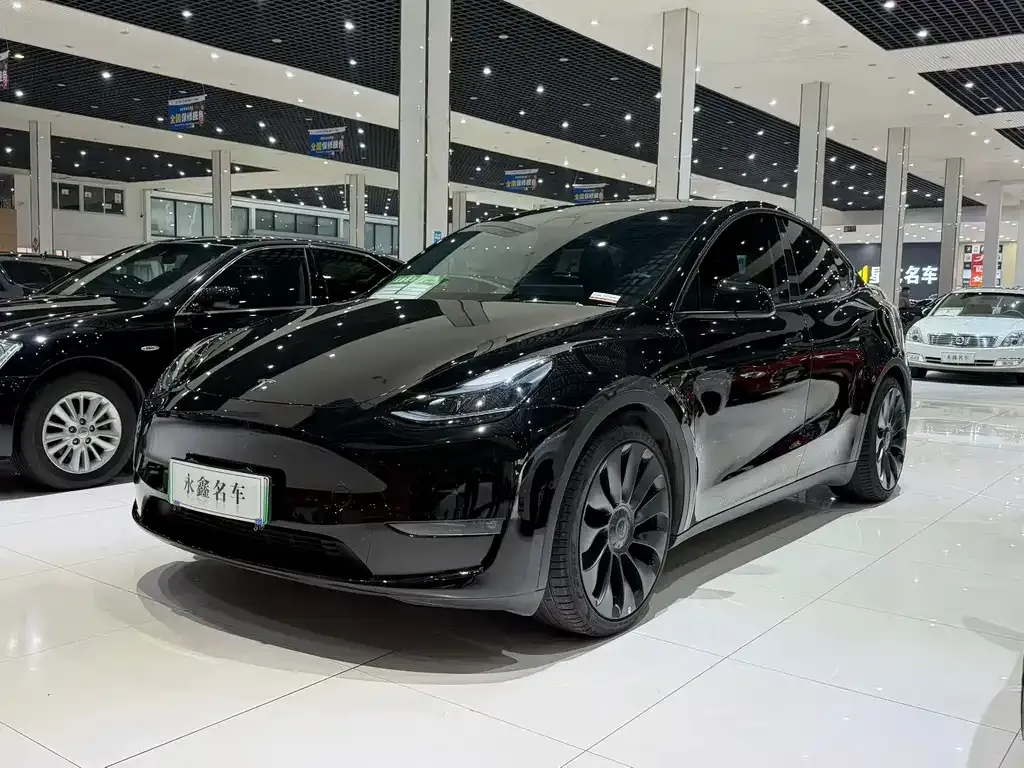 Tesla Model Y — фото 8