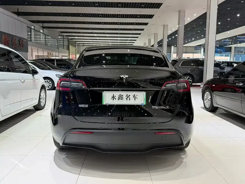 Tesla Model Y — фото 3
