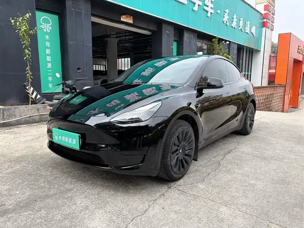 Tesla Model Y — фото 1