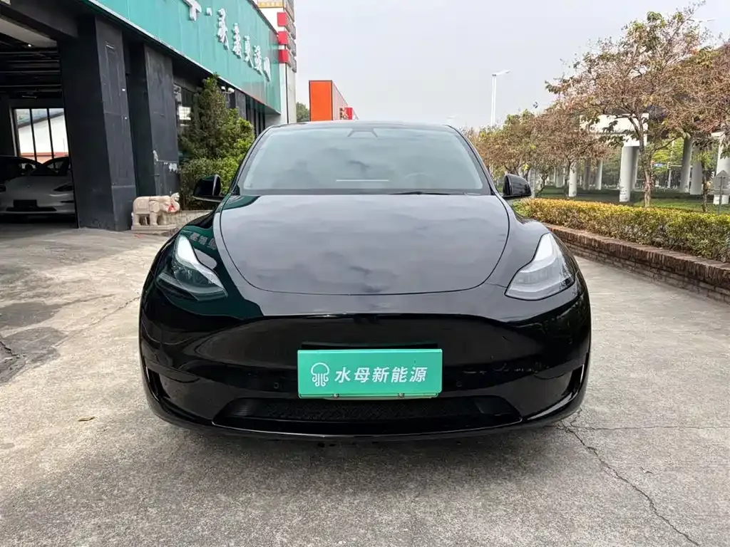 Tesla Model Y — фото 6