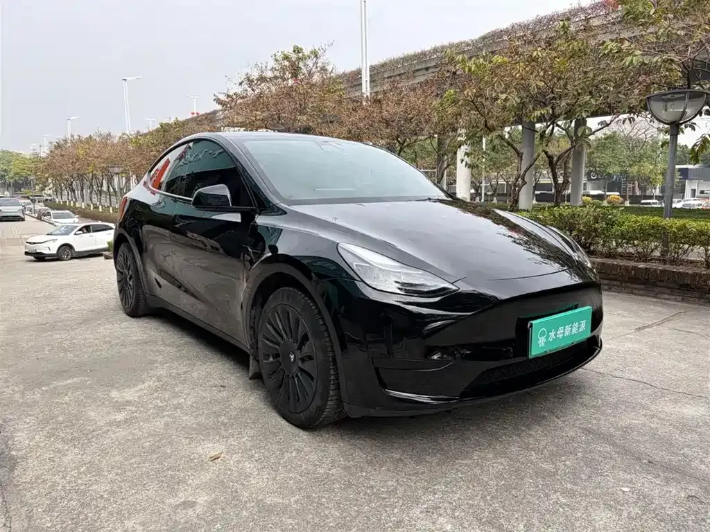 Tesla Model Y — фото 10