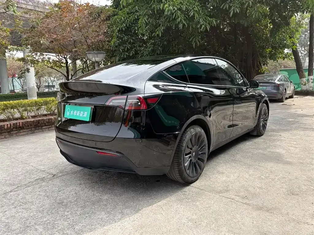 Tesla Model Y — фото 8