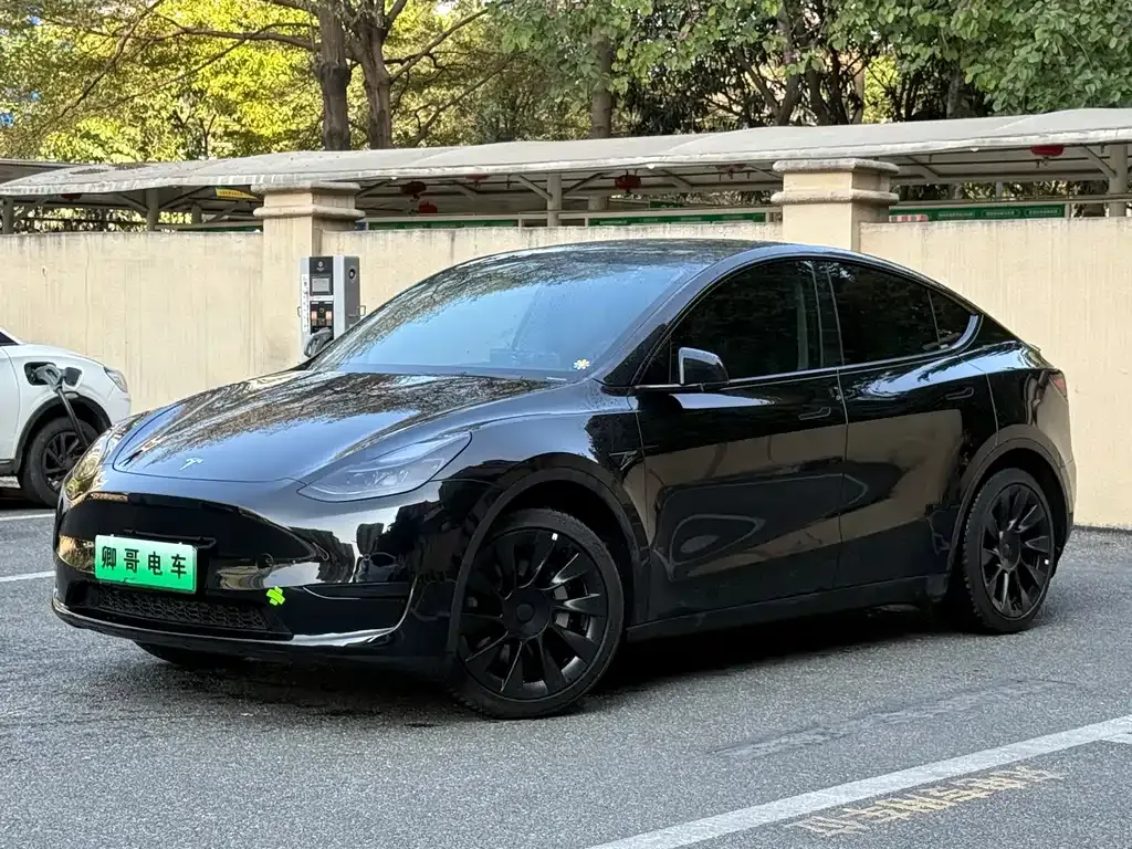 Tesla Model Y — фото 1