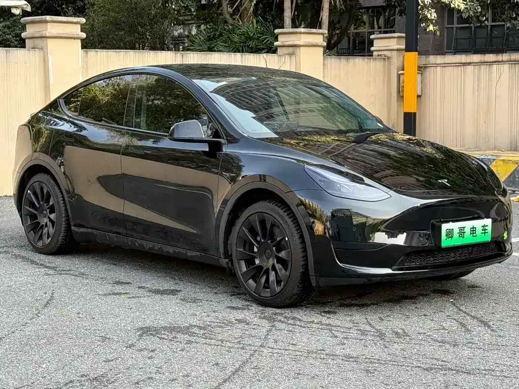 Tesla Model Y — фото 8