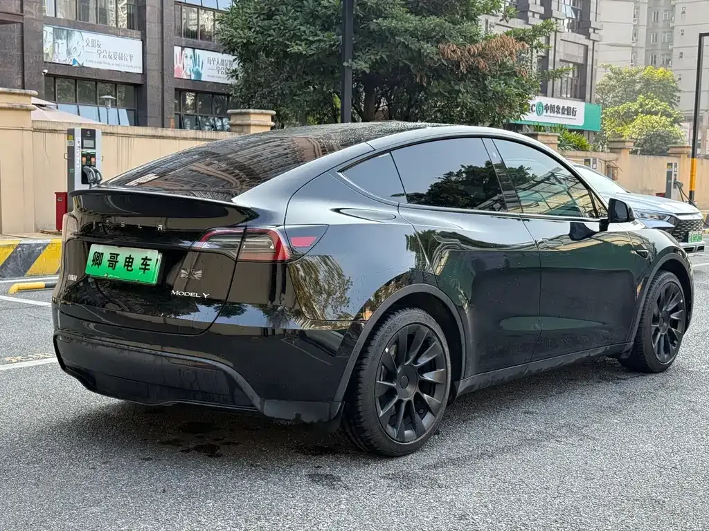 Tesla Model Y — фото 10