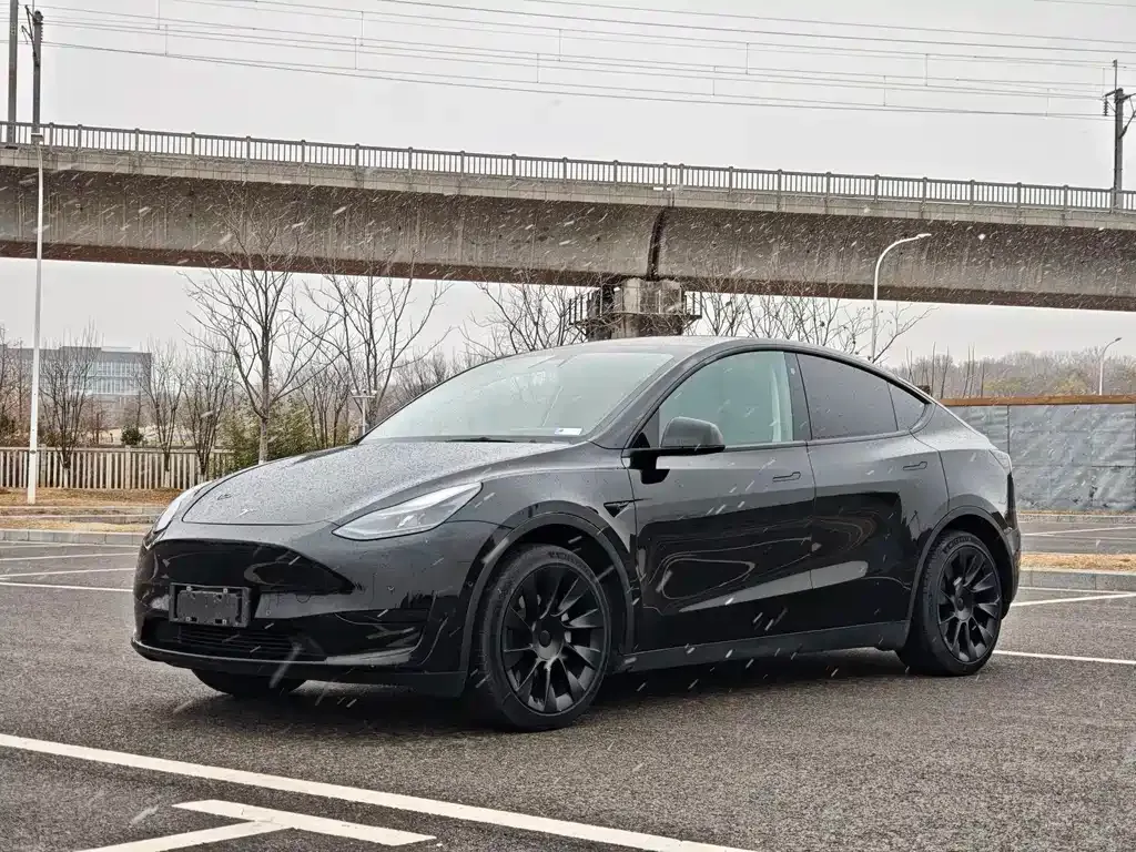 Tesla Model Y — фото 1