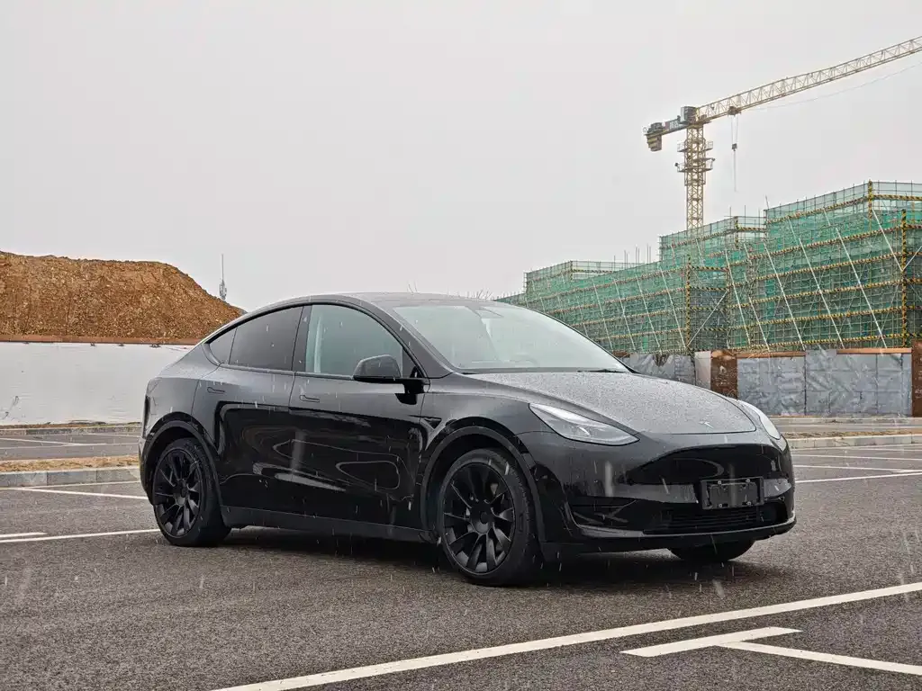 Tesla Model Y — фото 6