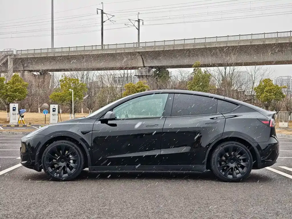Tesla Model Y — фото 9