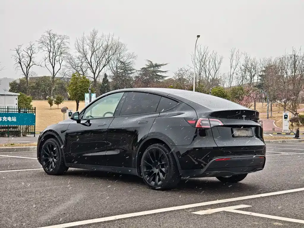Tesla Model Y — фото 10
