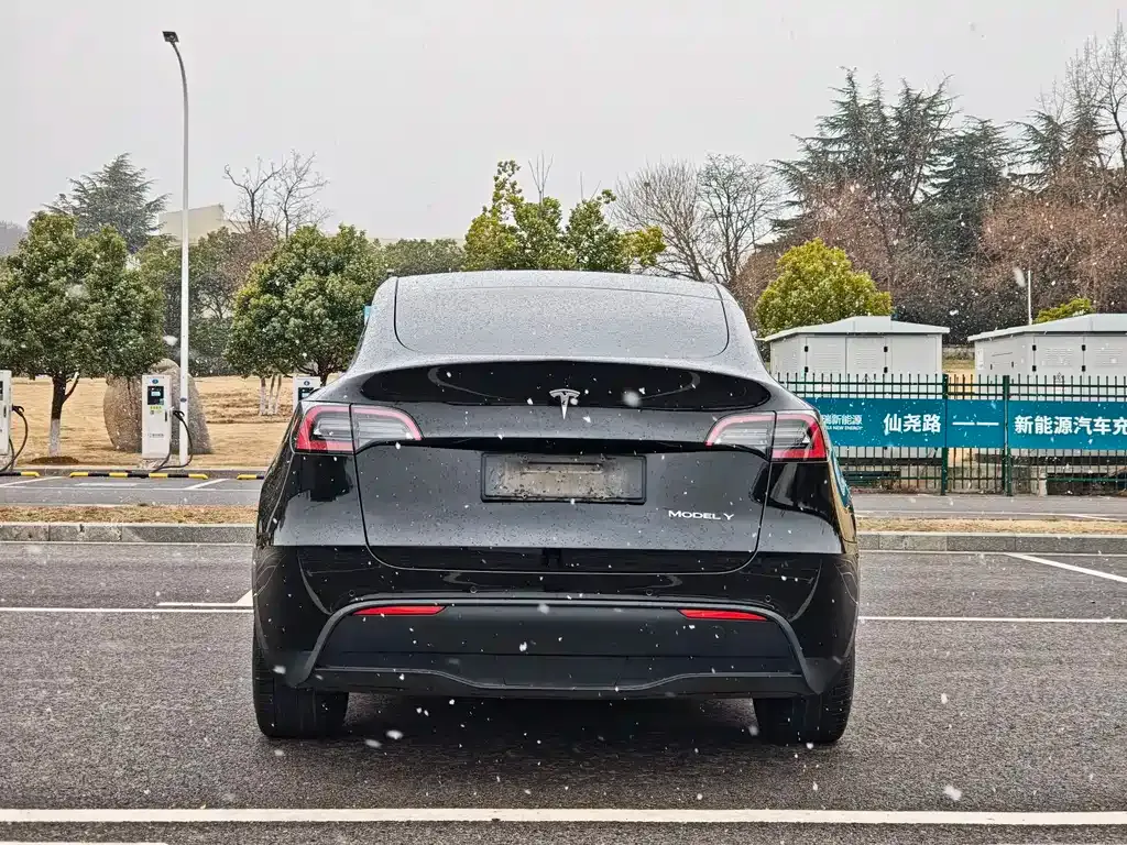 Tesla Model Y — фото 8