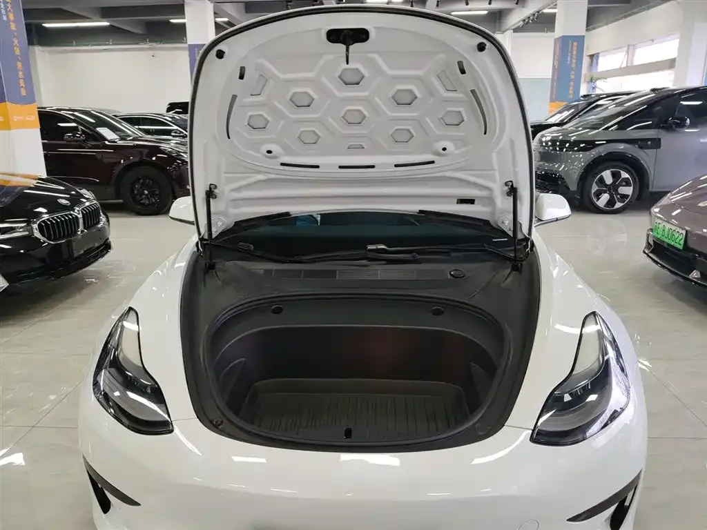 Tesla Model 3 2021 из CN, фото 8