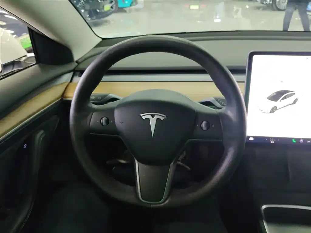 Tesla Model 3 2021 из CN, фото 2
