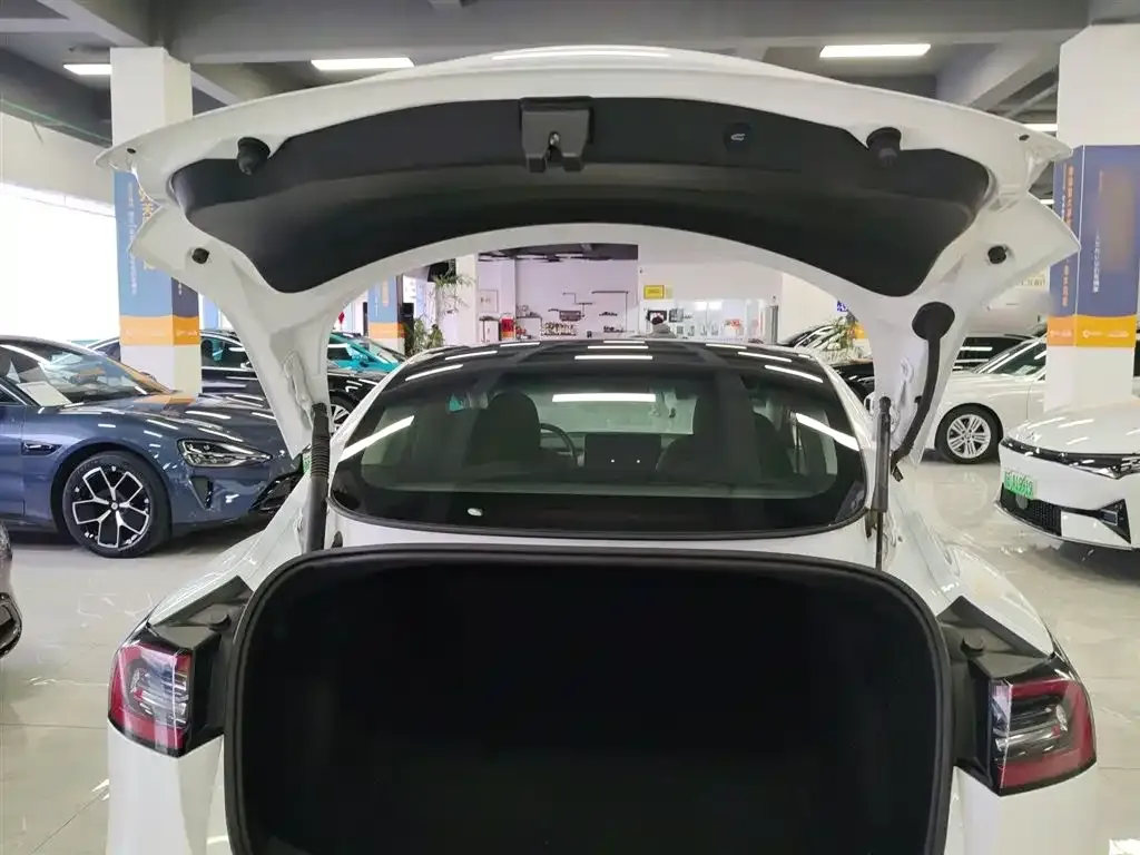 Tesla Model 3 2021 из CN, фото 10