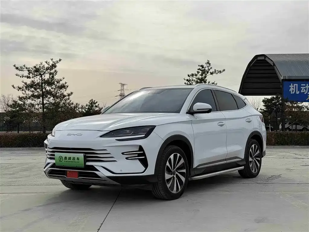 BYD PLUS New Energy — фото 1
