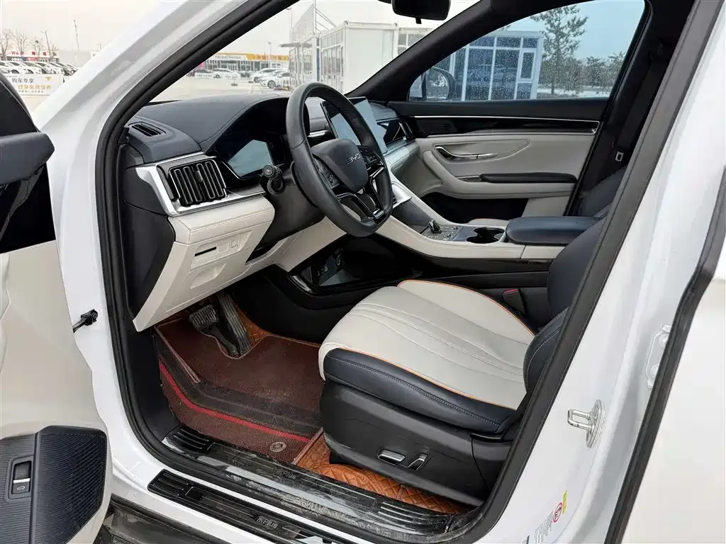 BYD PLUS New Energy — фото 8