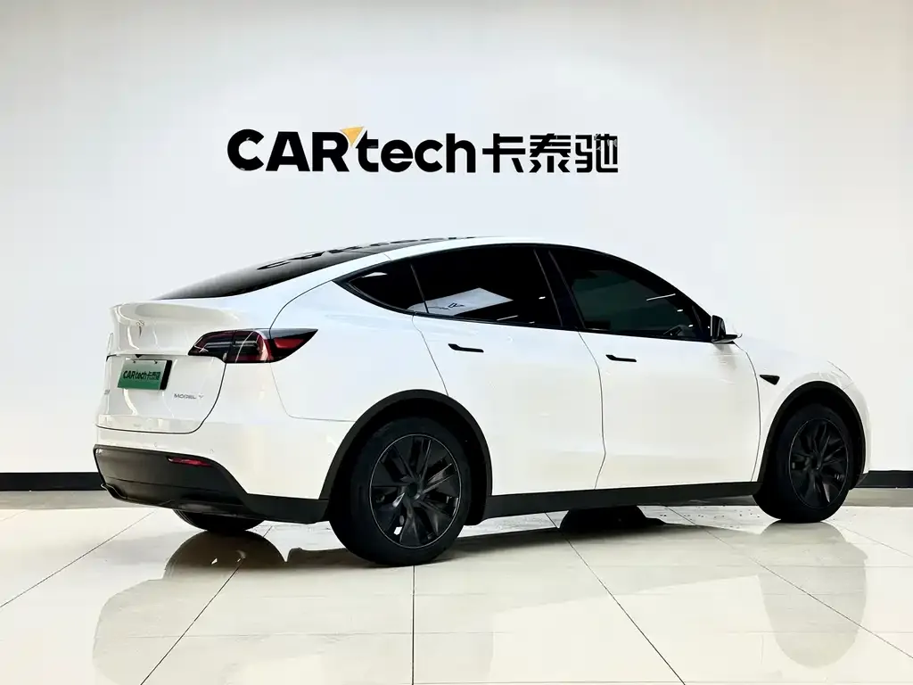 Tesla Model Y — фото 3