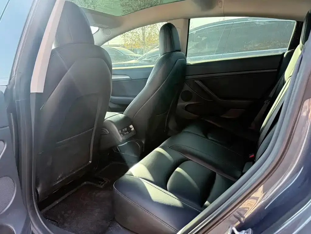 Tesla Model 3 2023 из CN, фото 2