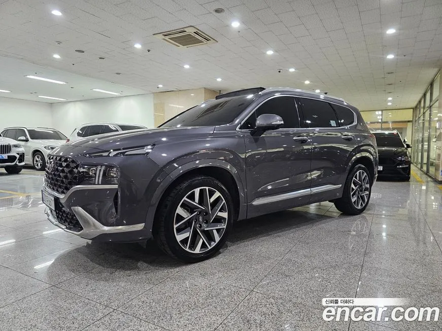 Hyundai Santafe 2021 из KR, фото 9