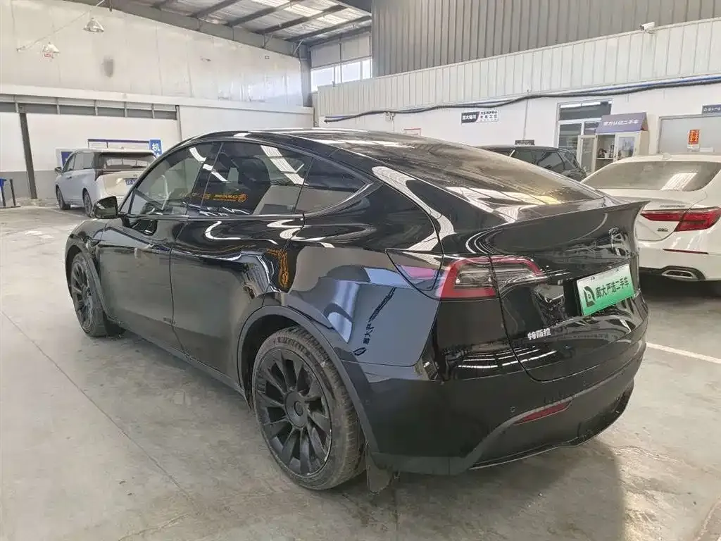 Tesla Model Y — фото 10
