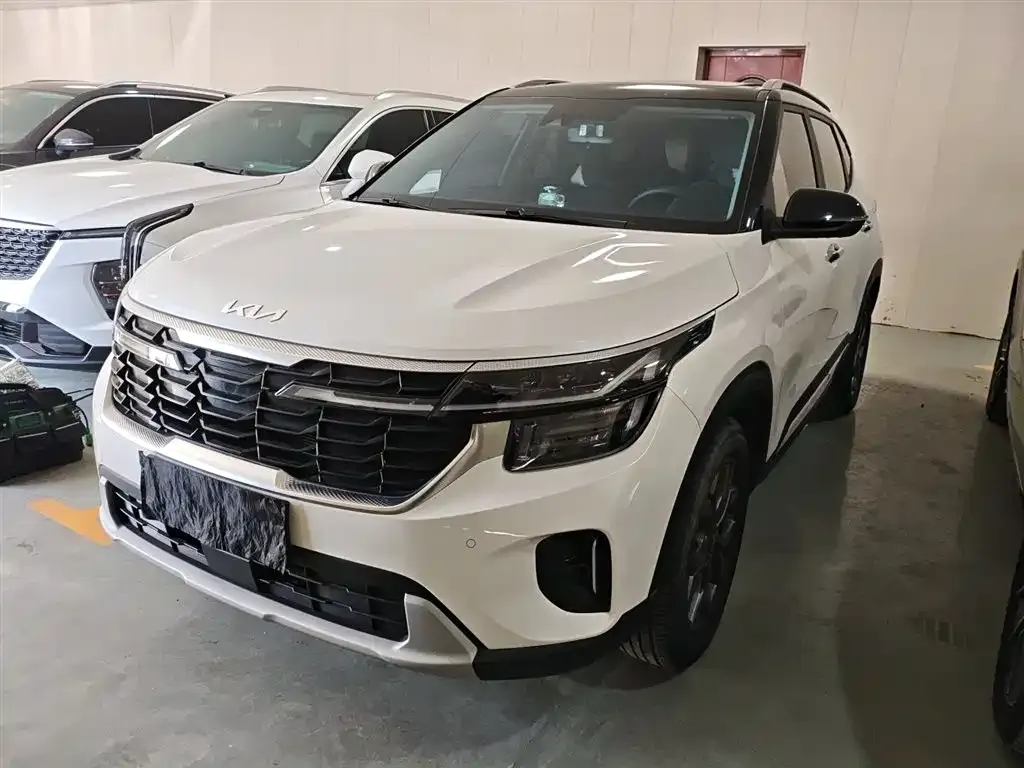 Kia Seltos 2024 из CN, фото 1