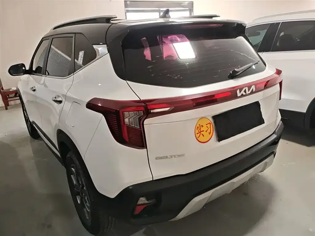 Kia Seltos 2024 из CN, фото 4