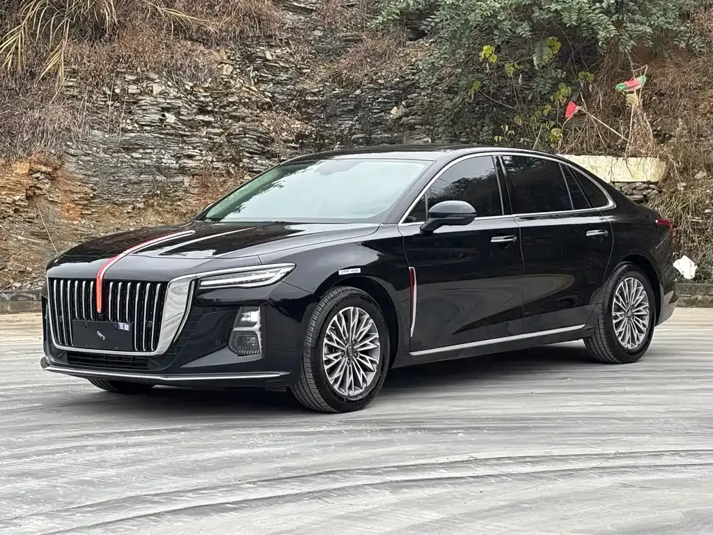 Hongqi H5 2023 из CN, фото 1