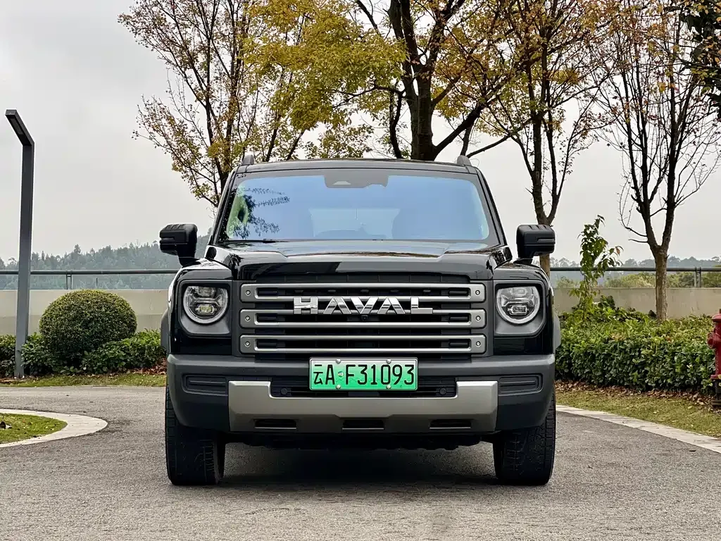 Haval Menglong New Energy — фото 9