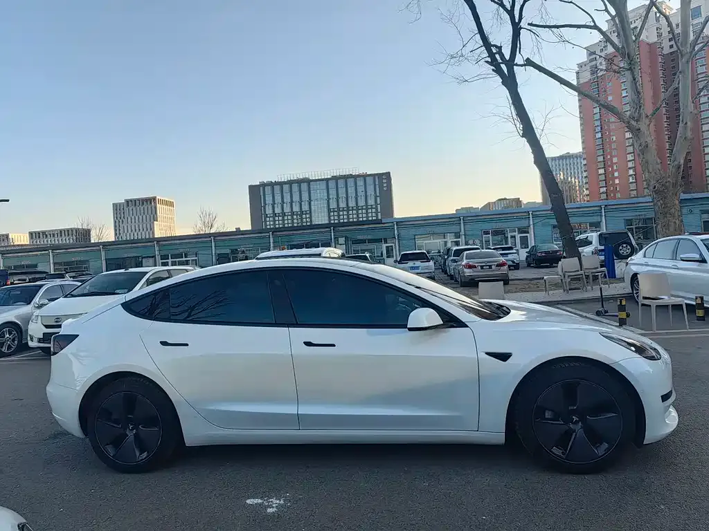 Tesla Model 3 — фото 2