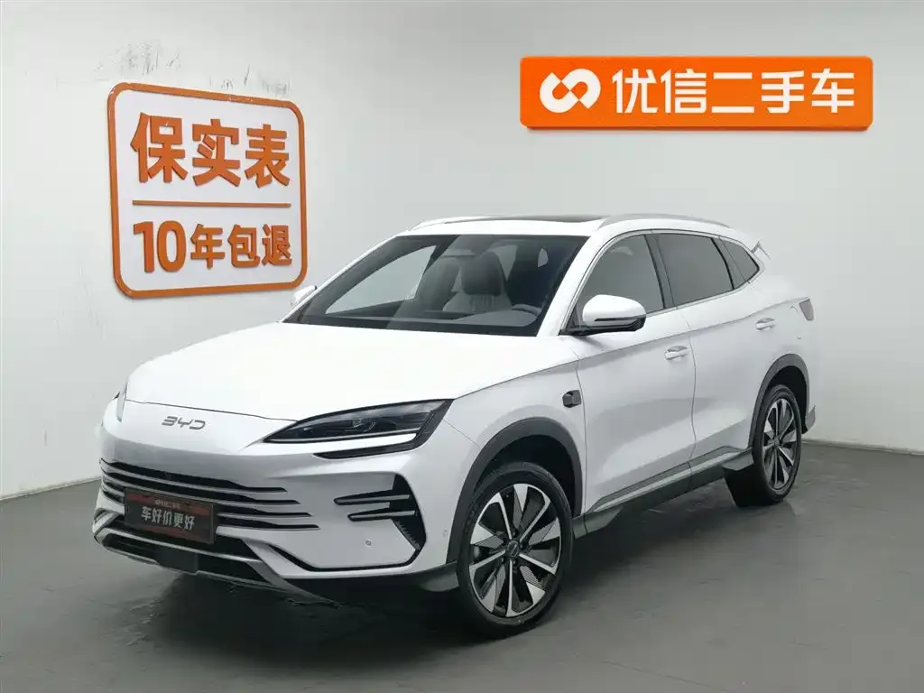 BYD PLUS New Energy — фото 1