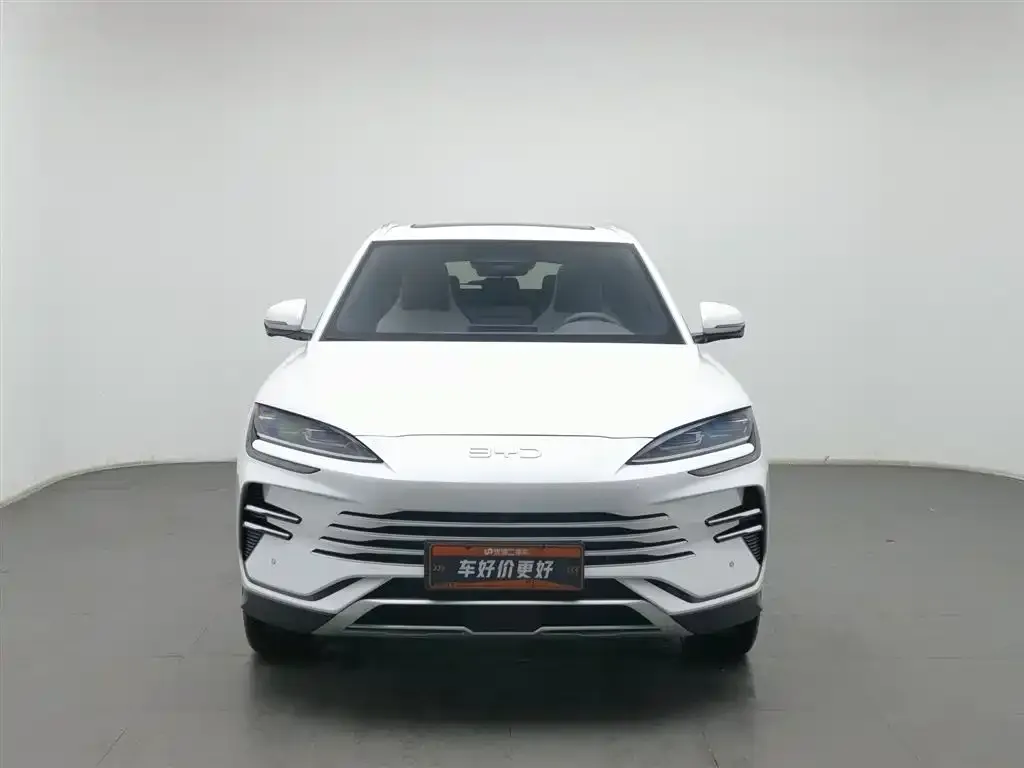 BYD PLUS New Energy — фото 4