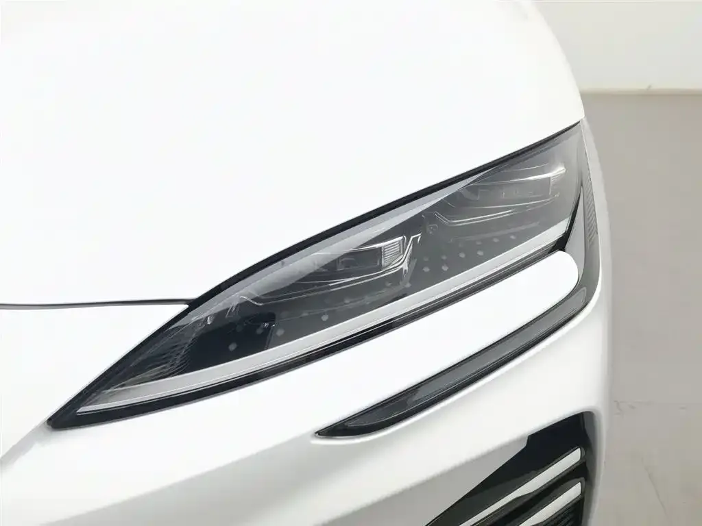 BYD PLUS New Energy — фото 10