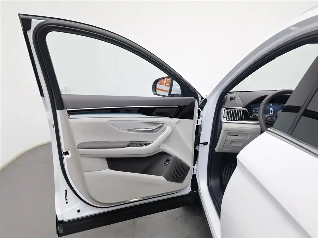 BYD PLUS New Energy — фото 8