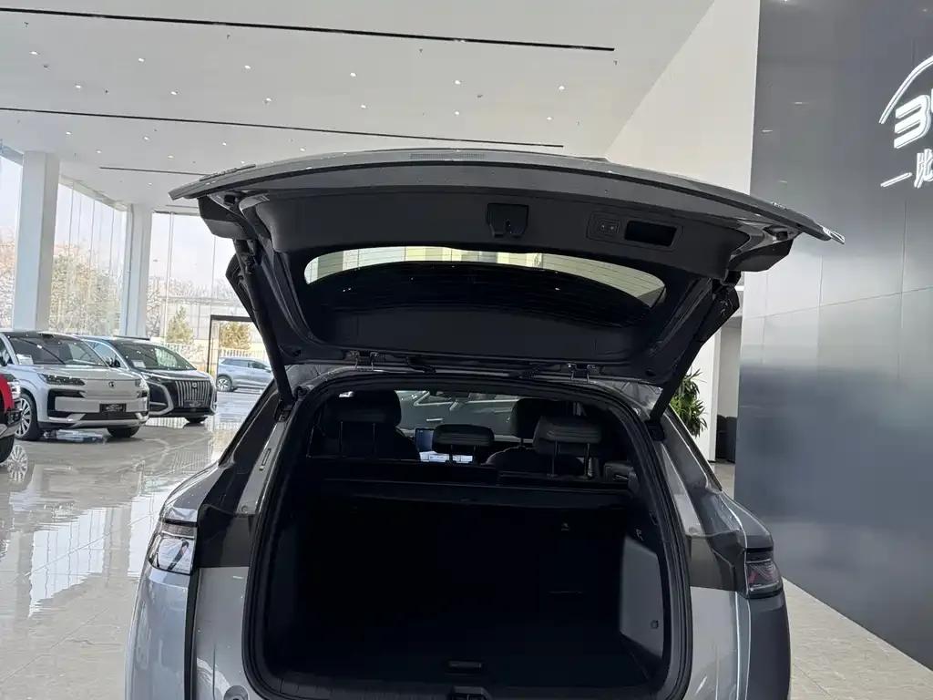 BYD L DM-i — фото 10