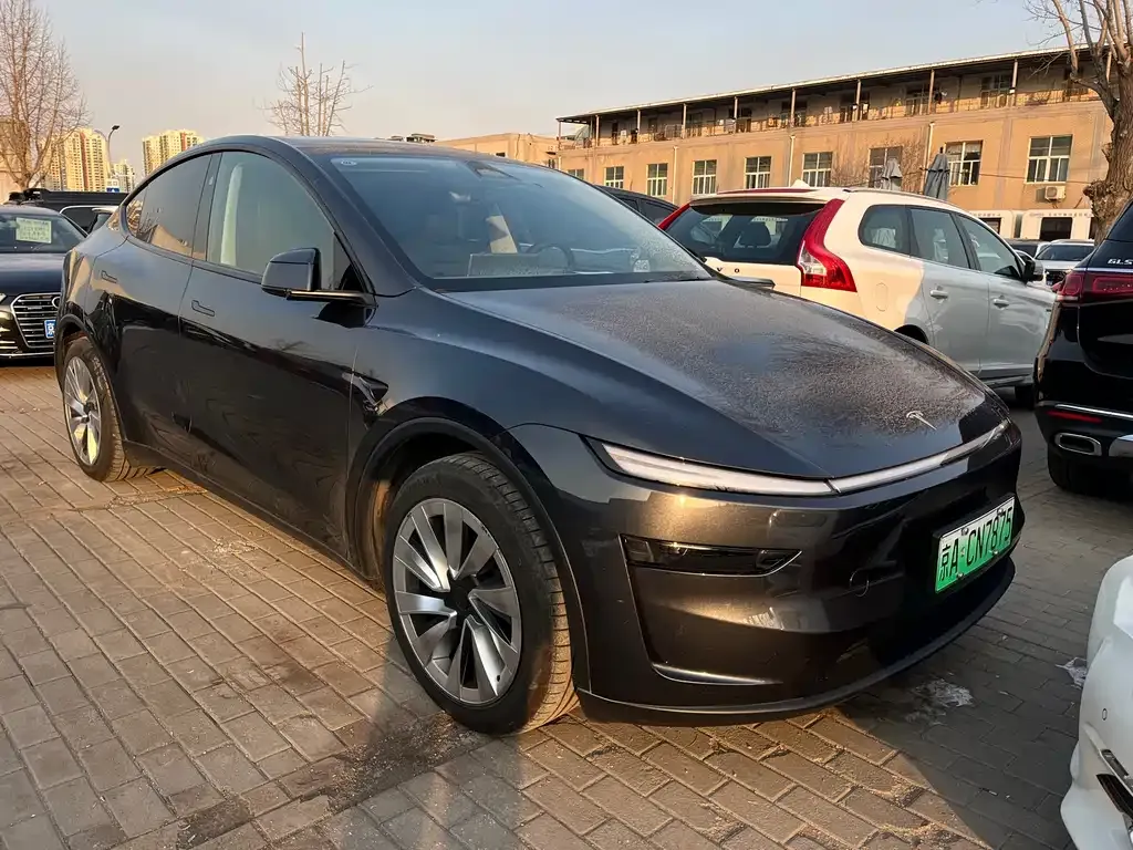 Tesla Model Y 2025 из CN, фото 6