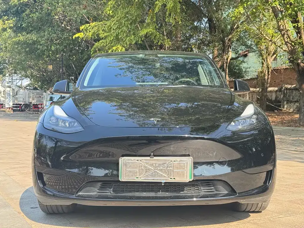 Tesla Model Y — фото 2